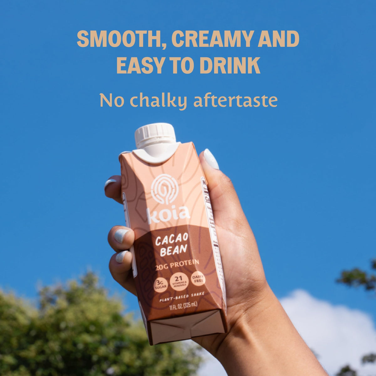 Plant-Based Protein Shake – 20g Protein, 3g Sugar, 12 Pack
