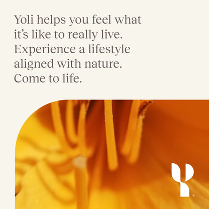 Yoli Transformation Kit with YES, Passion, Alkalete, Pure, and Resolve