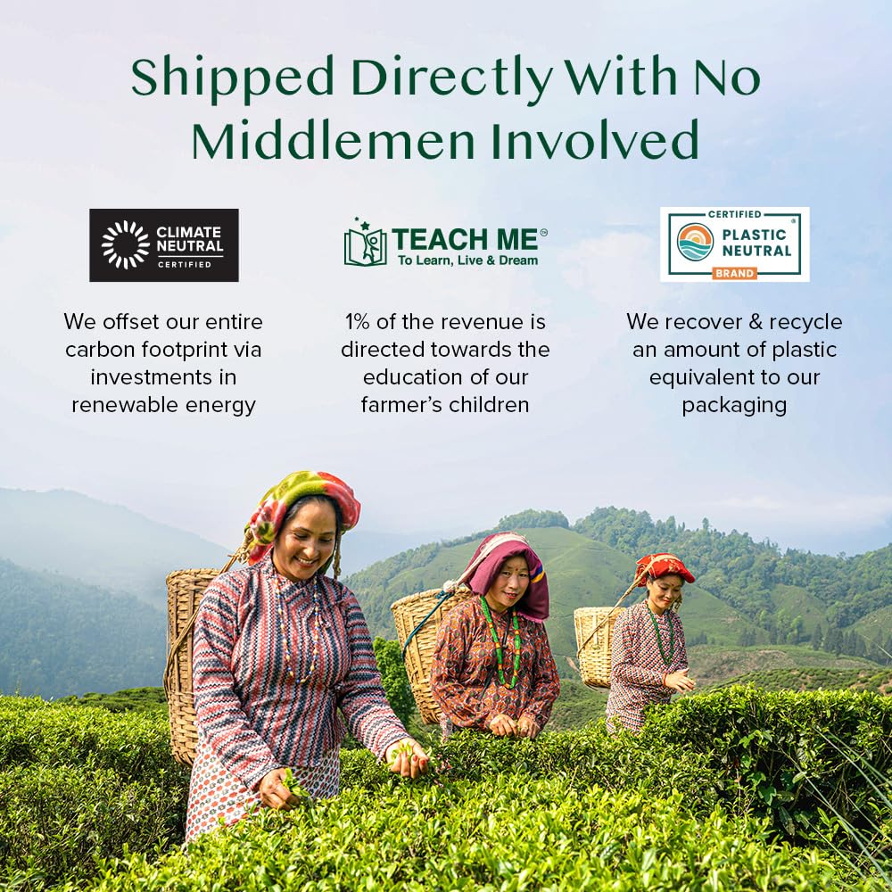 VAHDAM, Assorted Tea Gift Sets | Tea Variety Pack