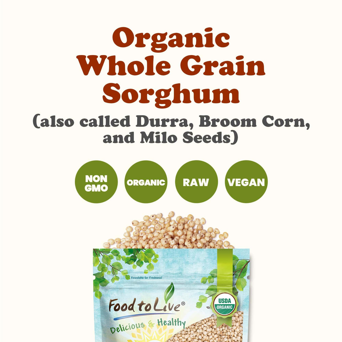 Organic Italian White Whole Grain Sorghum