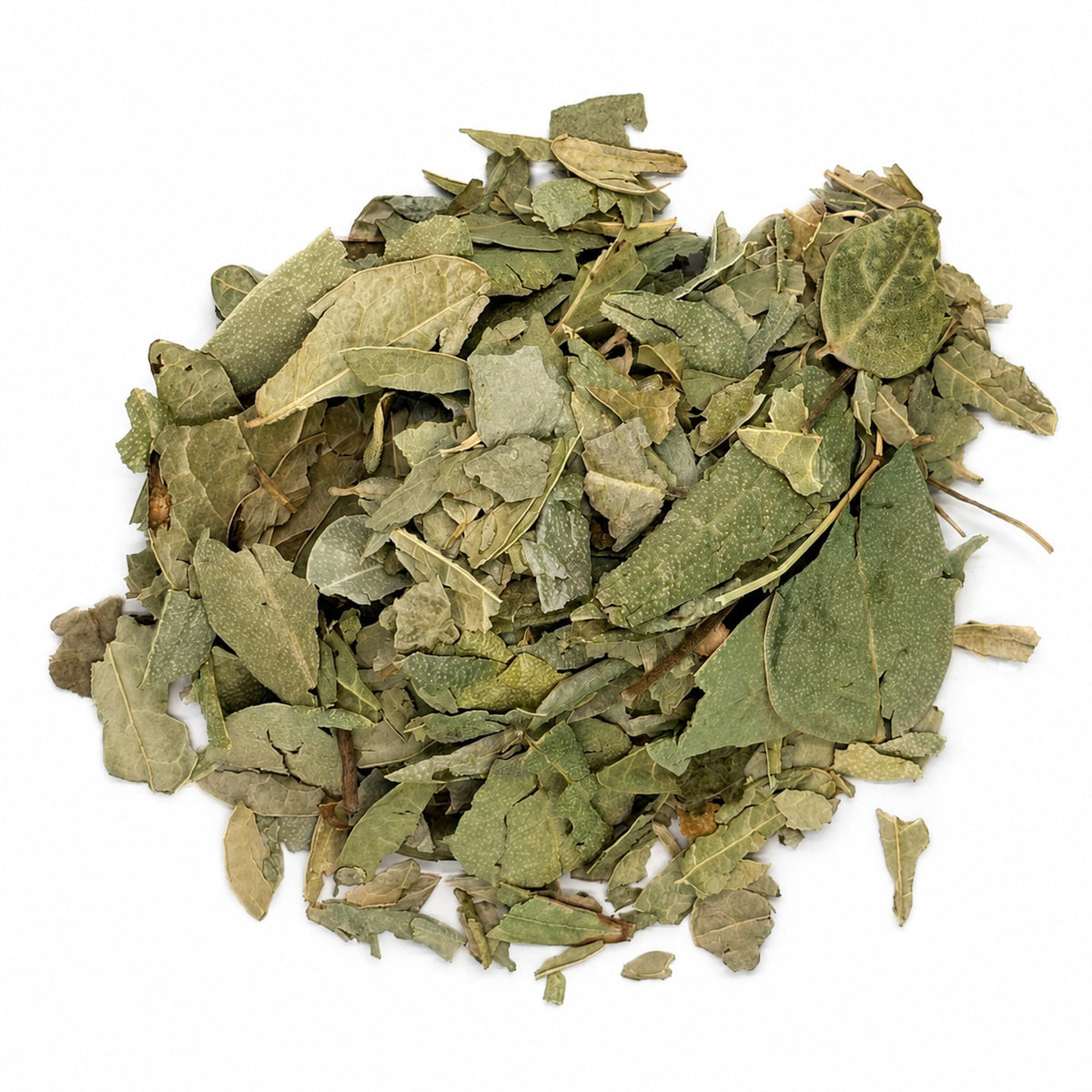 Premium Boldo Leaf Herbal Tea – Whole Dried & Caffeine-Free