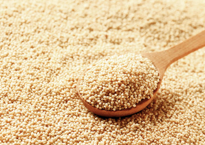Amaranth Seeds, X Pounds - Whole, Vegan, Bulk