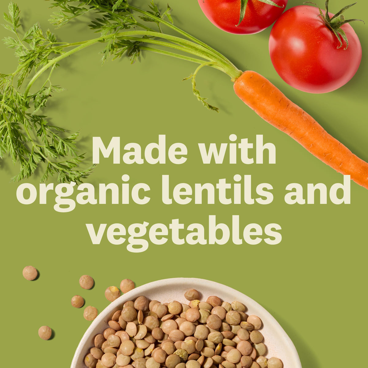 Amy's Soup, Vegan Quinoa