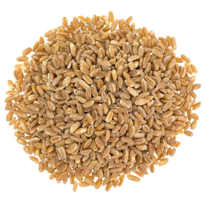 Italian Organic Pearled Farro