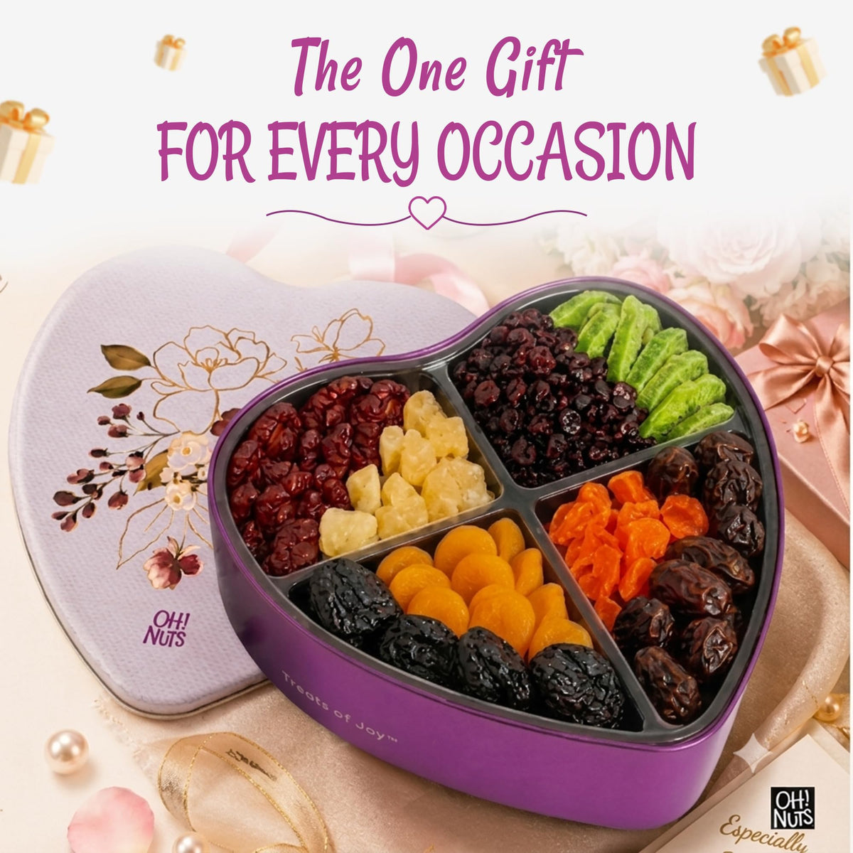 Gourmet Dried Fruit & Nut Gift Tin – Healthy Snack Assortment