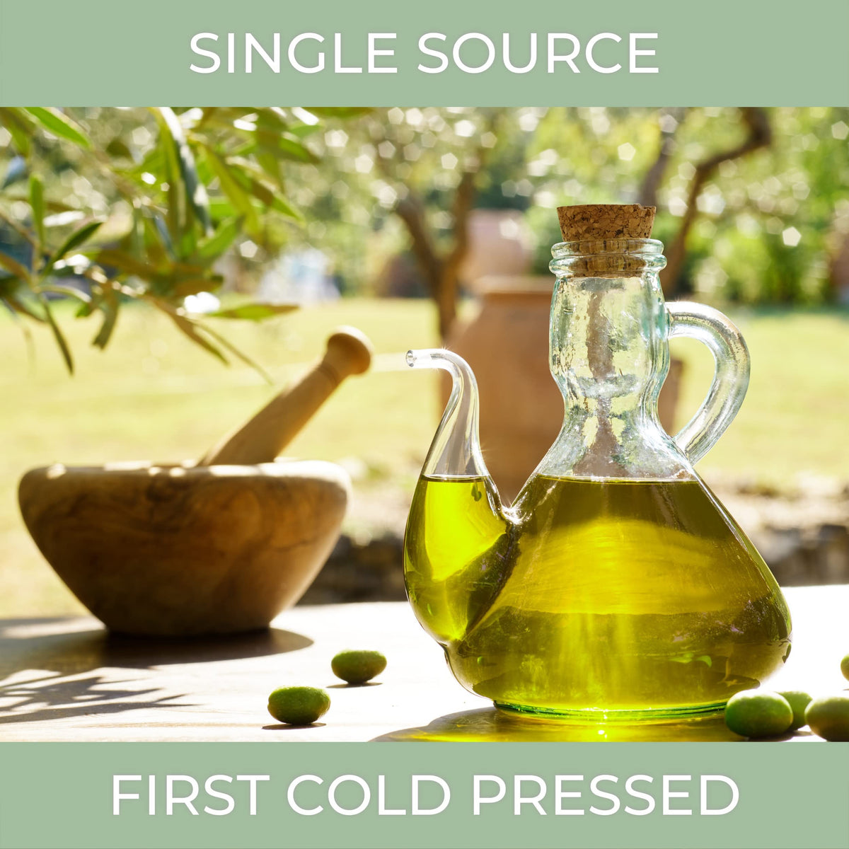 High-Polyphenol Italian Extra Virgin Olive Oil – Cold Pressed