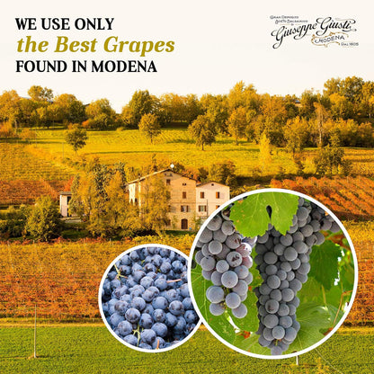 Premium Balsamic Vinegar of Modena IGP – 5 Gold Medals